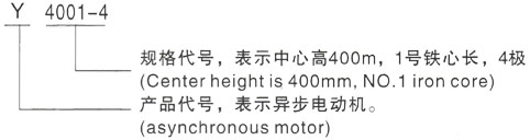 西安泰富西玛Y系列(H355-1000)高压YJTFKK5002-2/1000KW三相异步电机型号说明